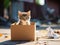 Homeless cute tabby kitten sits inside cardboard box amidst leaves, garbage, debris. Rescue, care of homeless animals on the