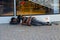 Homeless dark-skinned man is sleeping on street of Paris, France