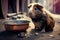 Homeless guinea pig on street, skinny and hungry abandoned pet, Generative AI