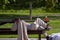 A homeless guy is sleeping on a picnic bench at a park