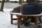 Homeless man, abandoned lonely and frail. When spending the night in a park on a snowy circle shape bench, it can get cold or caus