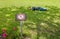 Homeless man sleep on the grass near Forbidding sign on the lawn in the Park