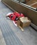 Homeless man sleeping on the street. Beggar lied down on Paulista Avenue. Homeless man on the streets of Sao Paulo, Brazil.