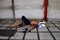 Homeless man sleeps in front of a closed store during the lockdown due to Covid 19 virus outbreak