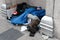 Homeless persons seen asleep during winter in a major city.