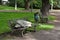 Homeless sleeping on a park bench