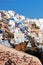 Homeless stray dog sitting on stone wall in Oia town, Santorini, Greece.