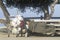 Homeless woman sleeping with shopping cart possessions, Santa Monica, California