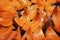 Homemade baked pieces of bright orange colour pumpkin on the baking sheet