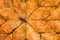 Homemade baklava - Turkish filo sweet pastry 04