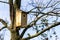 A homemade birdhouse standing on a branch of a leafless tree in a garden on a sunny day. The bird hole of the nest box is visible