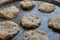 Homemade biscuit recipes chocolate chip cookies