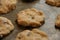 Homemade biscuit recipes chocolate chip cookies