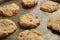 Homemade biscuit recipes chocolate chip cookies