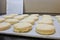 Homemade biscuits rising on parchment paper