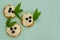 Homemade biscuits and soft white cheese cakes, decorated with blueberries and green leaves. Delicious food with crumbs on blue