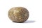 Homemade brawn headcheese meat product saltison isolated on wthite background