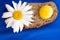 Homemade bread with cereals, chamomille and fresh egg on a blue background