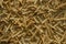 Homemade bread croutons texture background top view. Crispy bread cubes pattern, dry rye crumbs wallpaper, rusks mockup