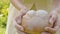 Homemade bread in female hands