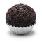 Homemade brigadeiro, brazilian chocolate truffle