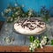 Homemade cake with sour cream, decorated with chocolate droplets on a glass stand, in the background on a wooden table