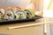 Homemade california and cucumber sushi rolls with surimi fake crab meat, avocado and fried sesame seeds. Served in two rows on a