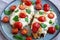 Homemade Caprese Chicken Parmesan with tomato, mozzarella and basil on a Plate, low angle view. Close-up