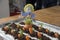 Homemade Carrot cake shaped as a carrot garden, decorated with a scarecrow doll