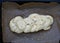 Homemade challah prepared for baking, white wicker bread sprinkled with white and black sesame seeds