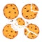 Homemade choco chip cookies with chocolate crisps isolated on white background. Bitten, broken, cookie crumbs. Vector illustration