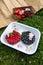 Homemade Chocolate Tarts with Berries