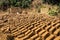 Homemade clay brick making in Uganda.