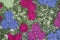 Homemade crocheted lace, colored flowers, background, texture