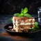 Homemade Delicious Tiramisu cake decorated with fresh mint on a black stone table concrete background