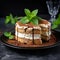 Homemade Delicious Tiramisu cake decorated with fresh mint on a black stone table concrete background