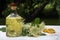 Homemade elderflower syrup in a glass bottle, elderflower umbel