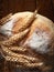 Homemade fresh bread. Close-up of a loaf of round peasant bread and spikelets of wheat on a wooden background