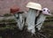 Homemade garden sculpture - mushroom amanita on the grass. The mushroom is made from an old plate and log. Upcycling.