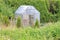 Homemade Garden Shed in Backyard