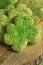 Homemade Green Shamrock Cookies