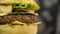 Homemade hamburger with cheese and salad in a blurred background close up