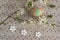 Homemade handmade painted Easter eggs on spotted tablecloth decorated with blackthorn sloe branch and wooden flowers