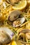 Homemade Healthy Linguini and Clams