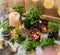 Homemade herbs in pots and glass jars basil, mint, lemon balm