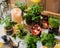 Homemade herbs in pots and glass jars basil, mint, lemon balm