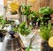 Homemade herbs in pots and glass jars basil, mint, lemon balm