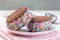 Homemade ice cream sandwich with chocolate chip cookie, watermelon ice cream, covered with colorful sprinkles, on  white plate,