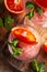 Homemade Italian Granita Dessert with blood orange, elderflower, rose wine  in serving glasses