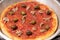 Homemade Italian marinara tomato pizza, cooked in an electric oven